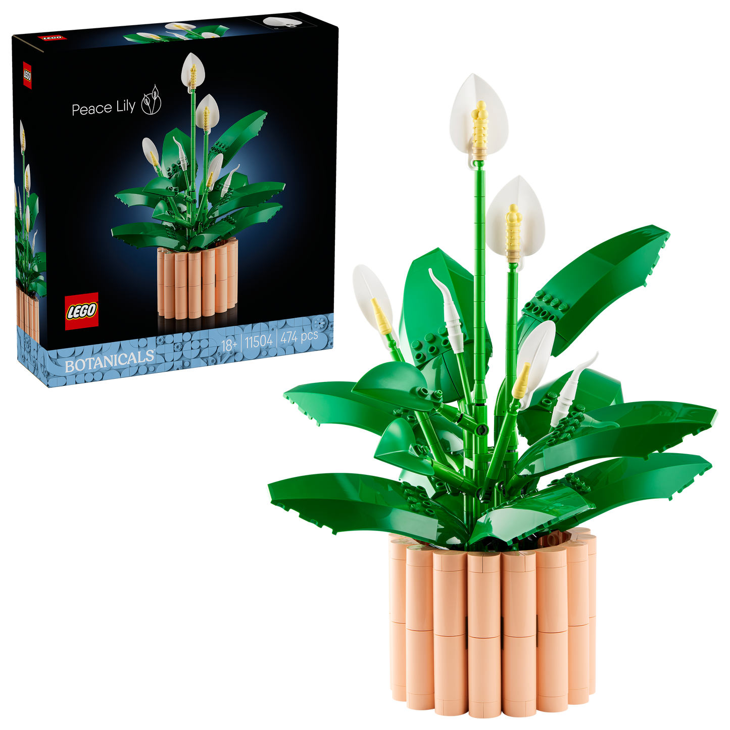 LEGO Botanicals Lepelplant Bloemen Decoratie Bouwpakket voor Volwassenen 11504