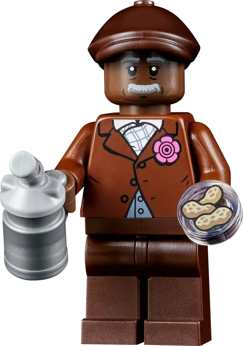 LEGO De ontwikkeling van Stem 21355 Ideas