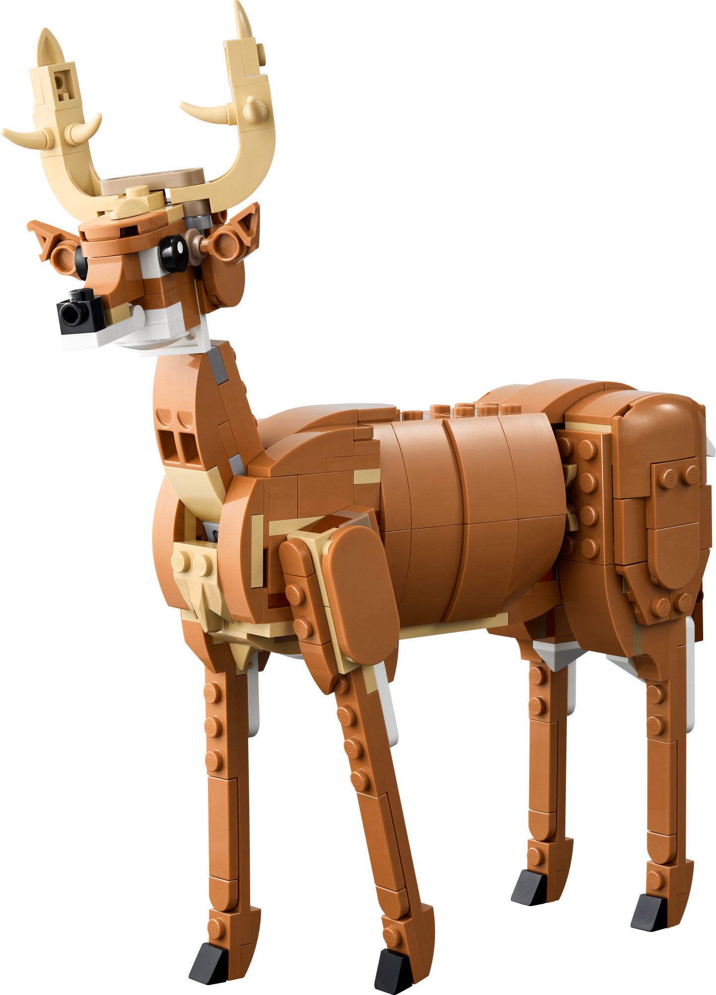 LEGO Prachtig paard 31166 Creator 3 in 1