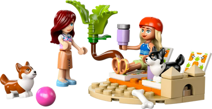 LEGO Surf &amp; Scooter Fun with the Puppies 42641 Friends (Pre-Order: January 2025)