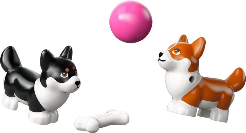 LEGO Surf &amp; Scooter Fun with the Puppies 42641 Friends (Pre-Order: January 2025)