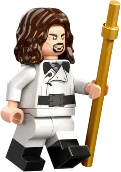 LEGO Toverschool Toernooi: de aankomst 76440 Harry Potter