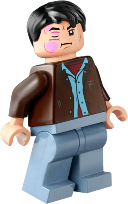 LEGO Het landhuis van Malfidus 76453 Harry Potter