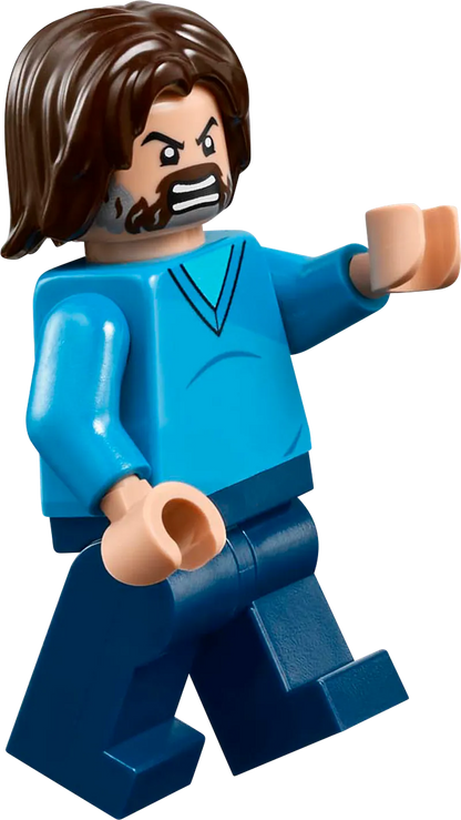 LEGO De arena bij het boslandhuis 21272 Minecraft