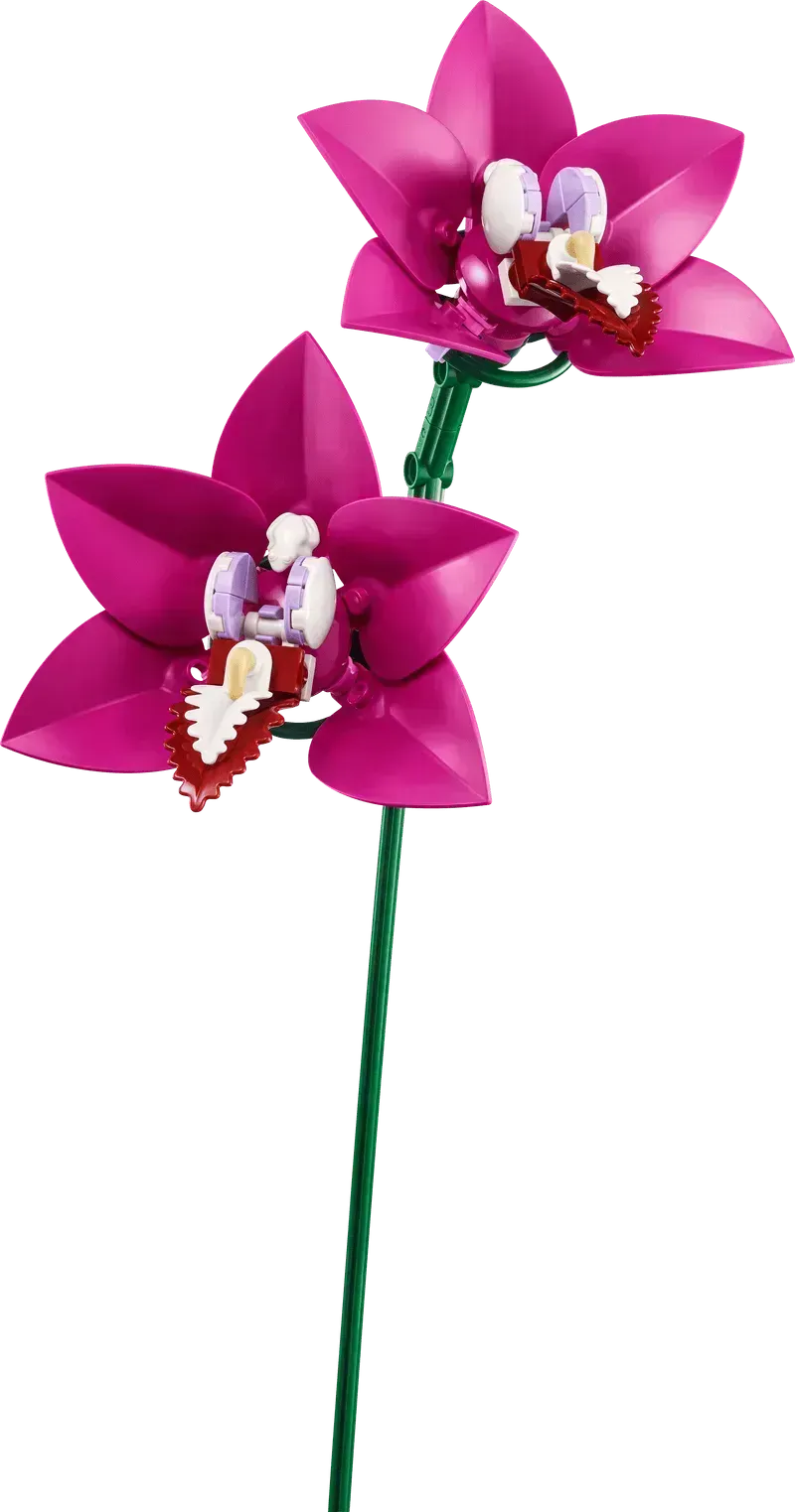 LEGO 10342 Roze boeket, nieuwe bloemenset van LEGO